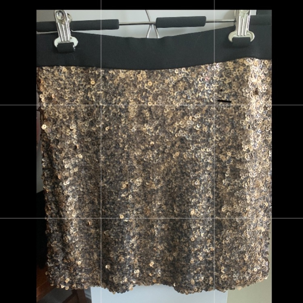 INC Sequin Skirt - M